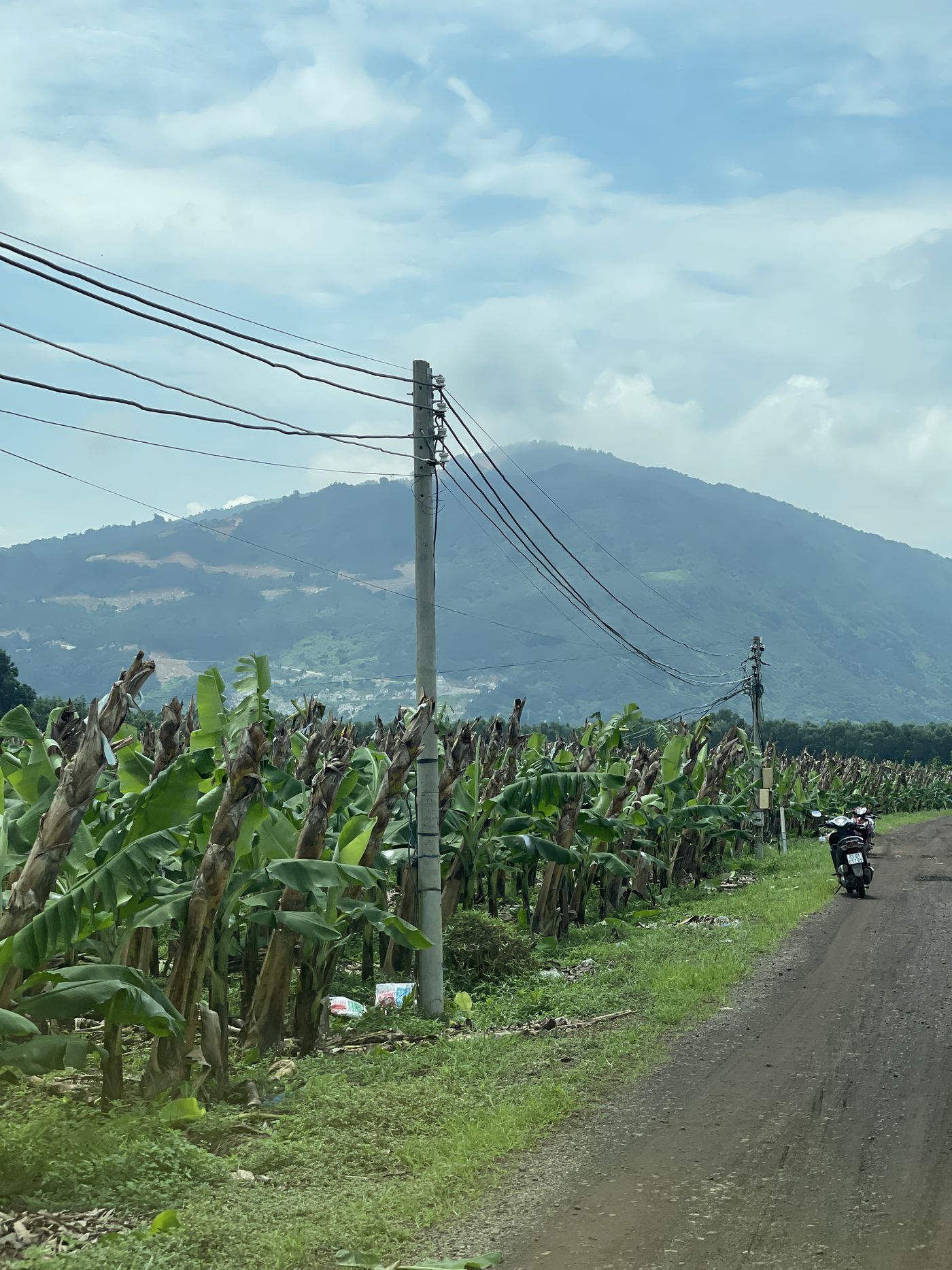 Site access road with existing power poles, Chứa Chan in the distance