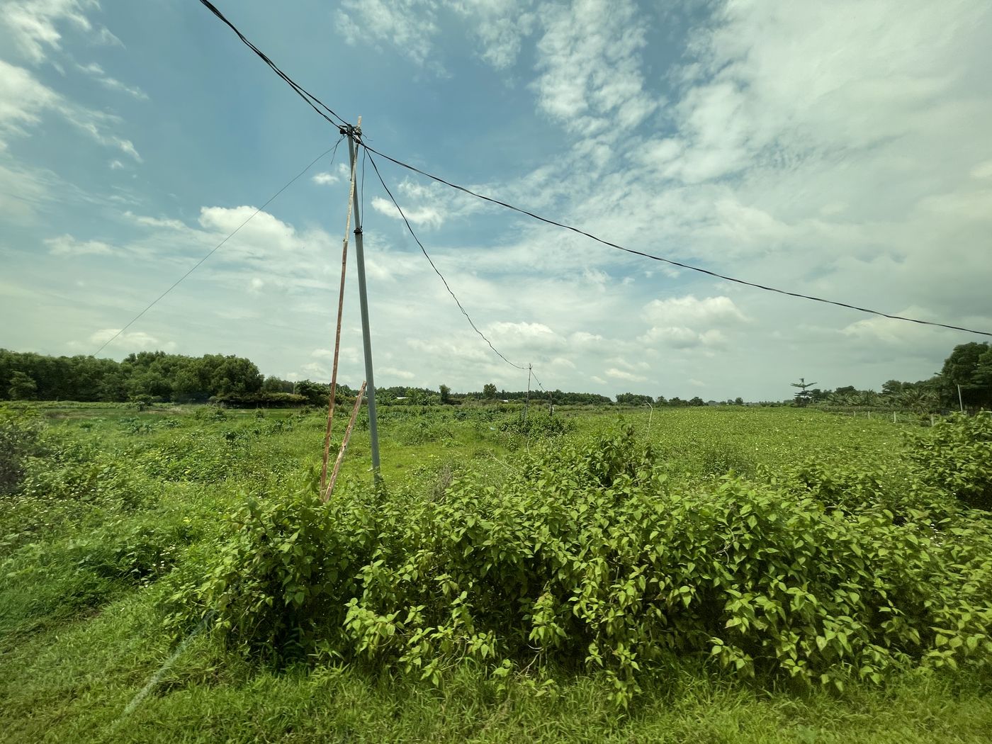 Open low-lying field crossed by an existing power pole